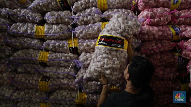 Bawang Putih (CNBC Indonesia/Tri Susilo)