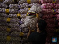 2 Bulan RI 'Puasa' Impor Bawang Putih, Akhirnya Terjadi Ini