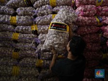 Oh Ternyata Importir Bawang Putih 'Teriak' Nyaring Gegara Ini