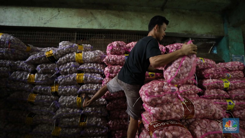 Bawang Putih (CNBC Indonesia/Tri Susilo)
