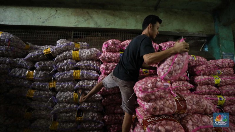 Bawang Putih (CNBC Indonesia/Tri Susilo)
