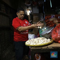 RI Mulai 'Diet' Impor Bawang Putih, Volume Februari Anjlok