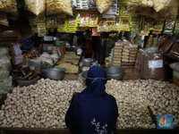 Harga Bawang Putih Impor Lagi 'Terbang', Ada Apa?