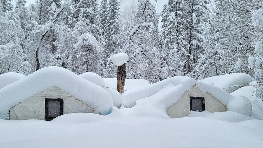 Two palms trees are backdropped by snow-covered mountains in Hesperia, Calif., Wednesday, March 1, 2023. (AP Photo/Jae C. Hong)