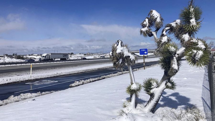 Two palms trees are backdropped by snow-covered mountains in Hesperia, Calif., Wednesday, March 1, 2023. (AP Photo/Jae C. Hong)