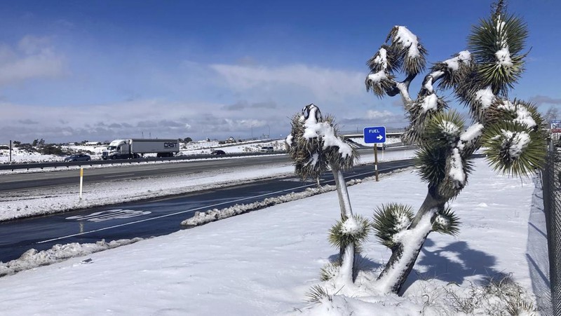 Two palms trees are backdropped by snow-covered mountains in Hesperia, Calif., Wednesday, March 1, 2023. (AP Photo/Jae C. Hong)