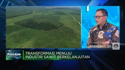 Penghasil Sawit Terbesar, Kapan RI Bisa Atur Harga Acuan CPO?