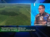 Penghasil Sawit Terbesar, Kapan RI Bisa Atur Harga Acuan CPO?