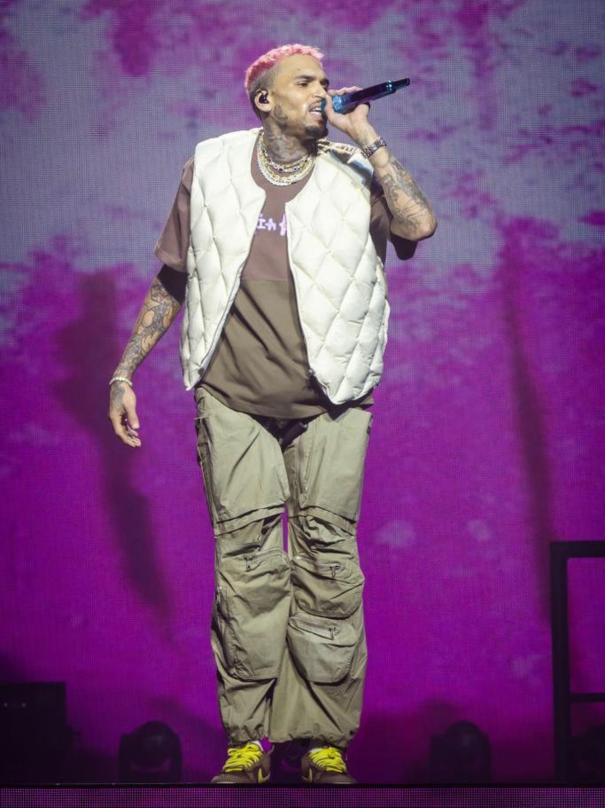 Chris Brown Divonis Bayar Rp 213 M dalam Kasus Eks ART Digigit Anjing
