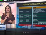 Video: Nikah Meriah Anti Kantong Meriang, Emang Bisa?