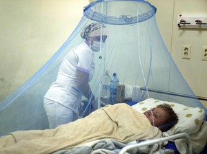Chikungunya Itu Penyakit Apa? Ini Gejala, Penyebab, dan Cara Mengobatinya