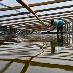 Cuaca Panas Mendidih Hantam RI, Industri Ini Bisa Raup Cuan