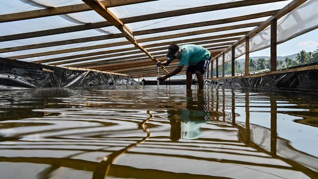 RI Mau Tutup Keran Impor Garam 2,8 Juta Ton Pakai Jurus Andalan Ini
