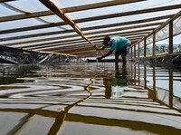 RI Mau Tutup Keran Impor Garam 2,8 Juta Ton Pakai Jurus Andalan Ini