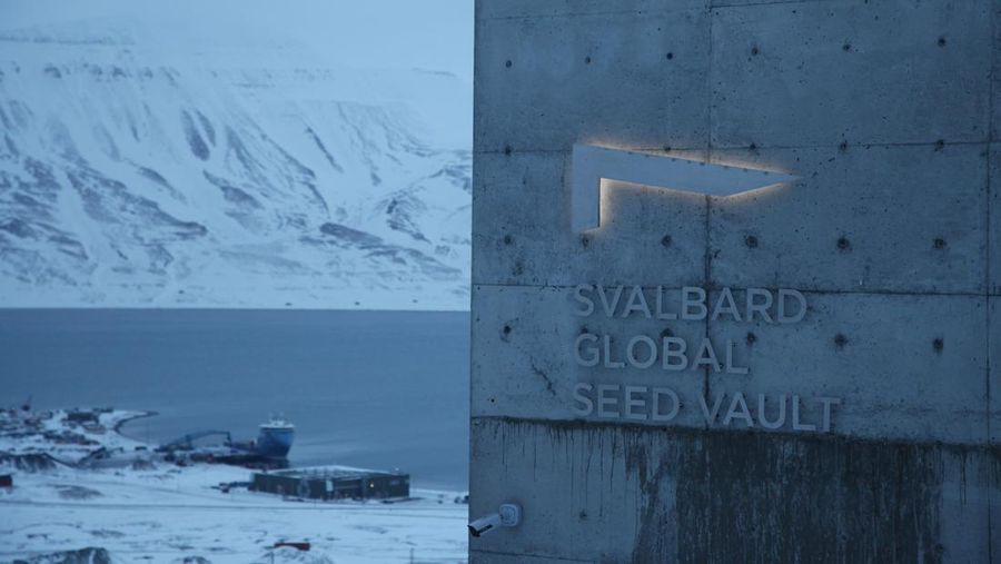 Gudang benih global di Spitsbergen dianggap sebagai semacam Arktik Bahtera Nuh bagi dunia tumbuhan. Tugas utama repositori, yang dibuka pada tahun 2008, adalah untuk melindungi keanekaragaman tumbuhan di Bumi dan dengan demikian juga persediaan makanan bagi umat manusia. Fasilitas ini juga memungkinkan bank gen untuk mengakses duplikat koleksi mereka jika terjadi bencana alam atau kehancuran akibat perang dan konflik, misalnya. (File Foto - Steffen Trumpf/picture alliance via Getty Images)