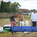 Petani Mengeluh Pupuk Langka dan Mahal, Ini Jawaban Jokowi