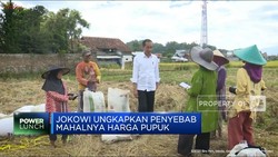 Petani Mengeluh Pupuk Langka dan Mahal, Ini Jawaban Jokowi