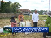 Petani Mengeluh Pupuk Langka dan Mahal, Ini Jawaban Jokowi
