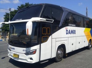 Jadwal dan Harga Bus Damri Rute Trans-Jawa Tujuan Surabaya, Malang, dan Banyuwangi