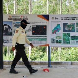 Titah Jokowi ke Otorita IKN: Segera Bangun Sekolah-RS Unggul