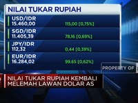 Video: Rupiah Amblas dan Tembus Rp 15.460/USD, Apa Sebabnya?