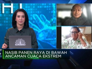 Cegah Gagal Panen Saat Cuaca Ekstrem, Petani Butuh Solusi Ini