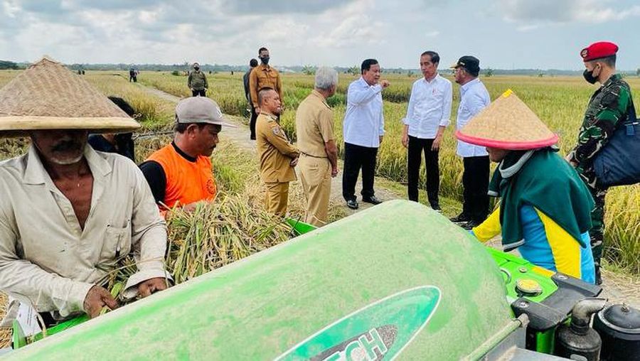 Presiden Joko Widodo didampingi Sekretaris Kabinet Pramono Anung, Menteri Pertahanan Prabowo Subianto, Menteri Pertanian Syahrul Yasin Limpo, Kepala Badan Pangan Nasional Arief Prasetyo Adi, dan Gubernur Jawa Tengah Ganjar Pranowo  meninjau panen raya padi dan berdialog dengan petani di Desa Lajer, Kecamatan Ambal, Kabupaten Kebumen, Provinsi Jawa Tengah Kamis (9/3/2023). (Dok: Biro Pers Sekretariat Presiden)