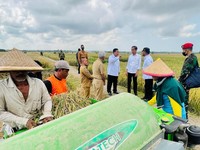 Petani Berkurang & Lahan Menyempit, 20 Tahun Lagi Makan Apa?