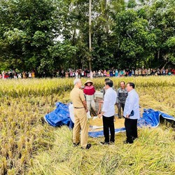 Panen Raya! Harga Beras & Saham Emitennya Bakal Turun?