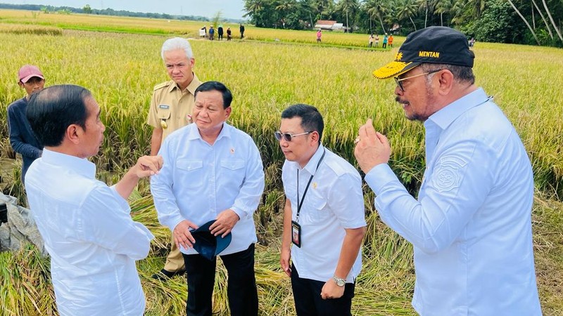 Presiden Joko Widodo didampingi Sekretaris Kabinet Pramono Anung, Menteri Pertahanan Prabowo Subianto, Menteri Pertanian Syahrul Yasin Limpo, Kepala Badan Pangan Nasional Arief Prasetyo Adi, dan Gubernur Jawa Tengah Ganjar Pranowo  meninjau panen raya padi dan berdialog dengan petani di Desa Lajer, Kecamatan Ambal, Kabupaten Kebumen, Provinsi Jawa Tengah Kamis (9/3/2023). (Dok: Biro Pers Sekretariat Presiden)