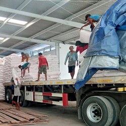 Kiamat Pupuk RI Makin Nyata, Kok Bisa? Jokowi Buka Suara