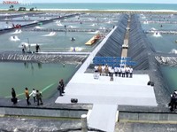 Pertama di RI! Ini Tambak Udang Modern & Berukuran Jumbo