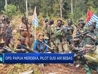 OPM: Papua Merdeka, Pilot Susi Air Bebas