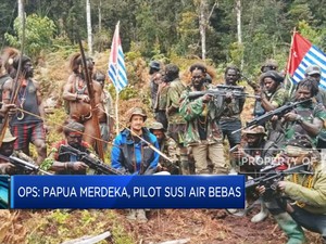 OPM: Papua Merdeka, Pilot Susi Air Bebas