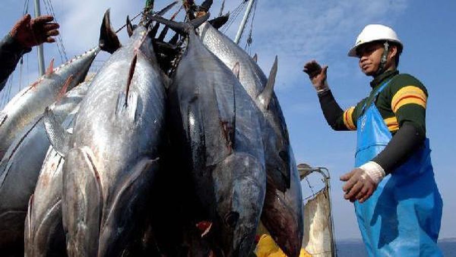 Penangkapan ikan oleh para nelayan Indonesia. (Dok. PT Perikanan Indonesia (Persero))
