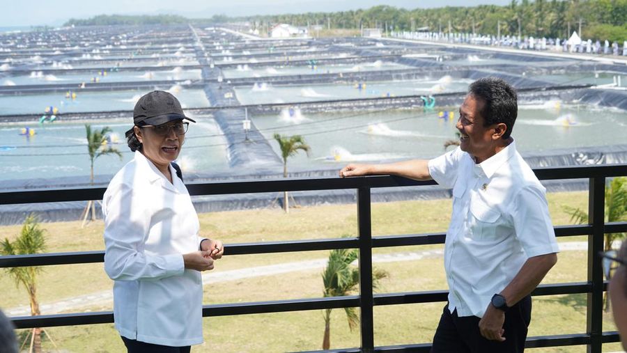 Presiden Joko Widodo meresmikan Tambak Budidaya Udang Berbasis Kawasan di Kabupaten Kebumen, Jawa Tengah. Ini adalah tambak udang modern pertama sekaligus terbesar di Indonesia. (Dok: KKP)