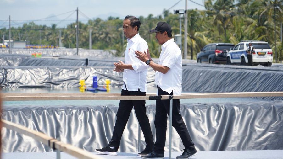 Presiden Joko Widodo meresmikan Tambak Budidaya Udang Berbasis Kawasan di Kabupaten Kebumen, Jawa Tengah. Ini adalah tambak udang modern pertama sekaligus terbesar di Indonesia. (Dok: KKP)