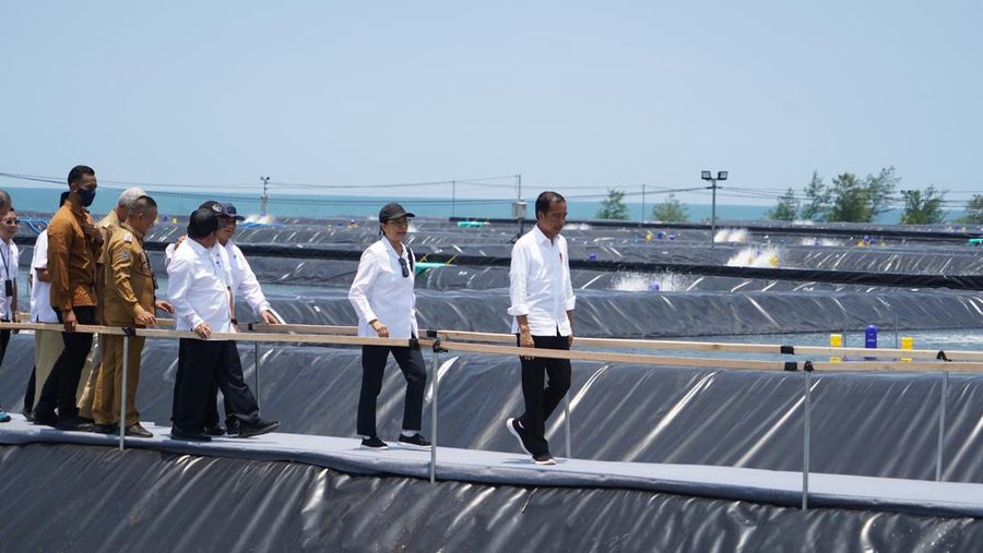 Presiden Joko Widodo meresmikan Tambak Budidaya Udang Berbasis Kawasan di Kabupaten Kebumen, Jawa Tengah. Ini adalah tambak udang modern pertama sekaligus terbesar di Indonesia. (Dok: KKP)