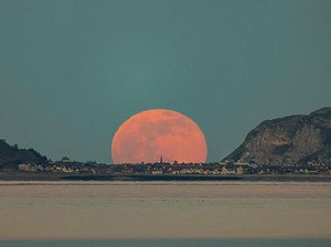 Worm Moon Bakal Muncul di Indonesia, Diprediksi Bisa Picu Banjir Rob