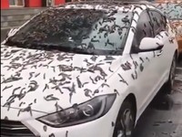 Viral Hujan Cacing di China Bikin Merinding, Simak Faktanya!