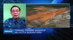 Banjir Insentif di IKN, Pengusaha Lokal Minat Investasi?