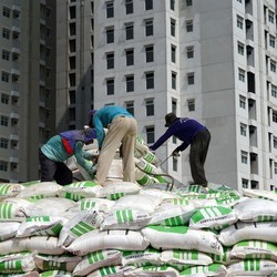 Hingga Oktober, Laba Bersih Pupuk Indonesia Naik Jadi Rp7,5 Triliun