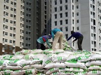 RI Kekurangan Pupuk Jenis Ini, Apa Penyebabnya?
