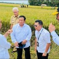 Jokowi Mau Impor Beras, RI Tak Lagi Negara Swasembada?
