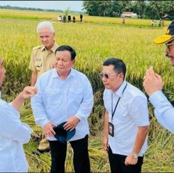 Jokowi Mau Impor Beras, RI Tak Lagi Negara Swasembada?