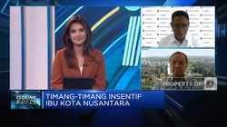 Proyek IKN Banjir Insentif, Investor Mana Saja Yang Tertarik?