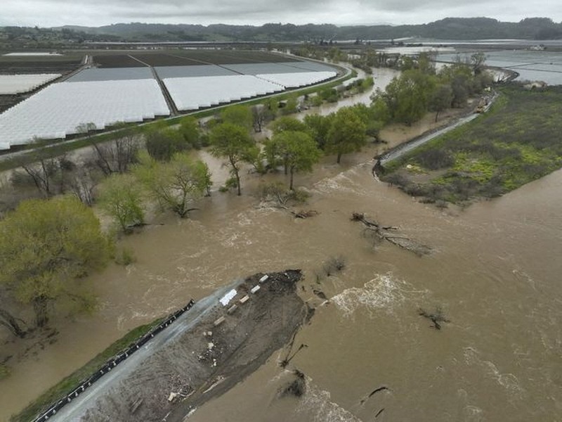 Tangkapan layar dari video menunjukkan tanggul jebol dan sungai banjir di Pajaro, California, AS, 12 Maret 2023. (REUTERS/DRONE BASE) Tangkapan layar dari video menunjukkan tanggul jebol dan sungai banjir di Pajaro, California, AS, 12 Maret 2023. (REUTERS/DRONE BASE)