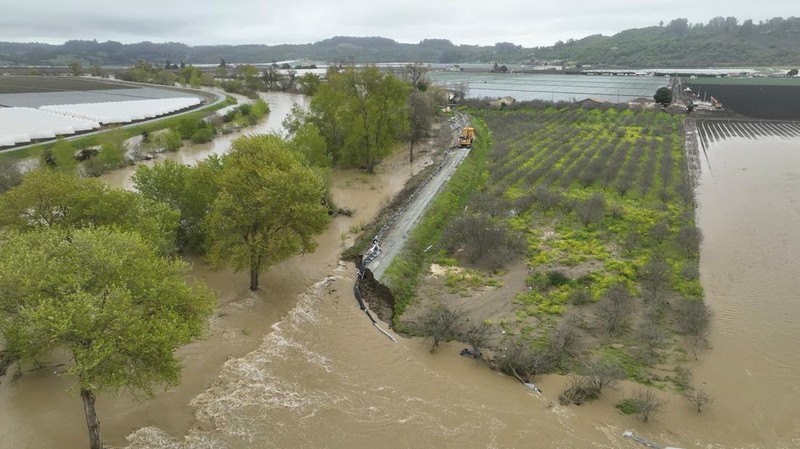 Tangkapan layar dari video menunjukkan tanggul jebol dan sungai banjir di Pajaro, California, AS, 12 Maret 2023. (REUTERS/DRONE BASE)