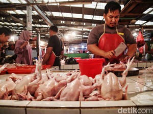 Harga Ayam Disebut Melonjak Gara-gara Program MBG