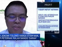 Pak Jokowi Tolong! Harga Ayam Naik Tapi Peternak Malah Nangis